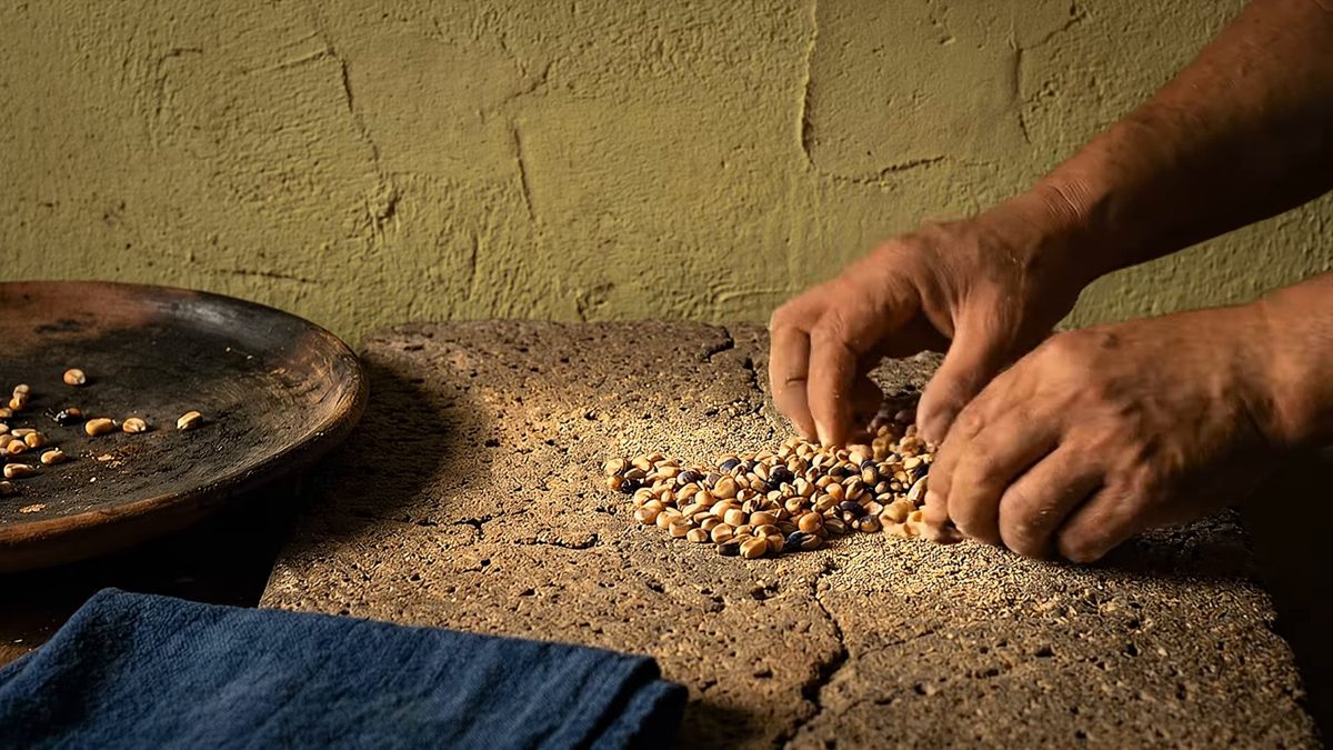 Manos que juntan granos de maíz sobre una piedra, junto a un comal.